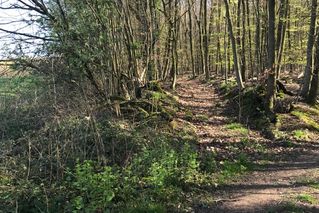 Standort 4 (Zum Windelstein)