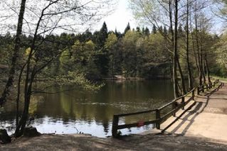 Standort 7 (Schutzhütte Försterteiche)